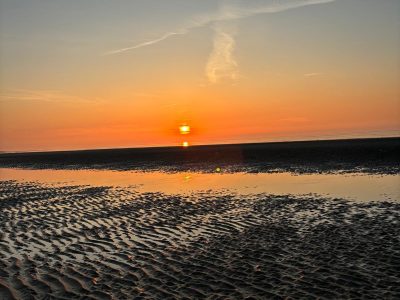 6b7ee01c-3a4f-42fc-9e13-7c6461a18f31