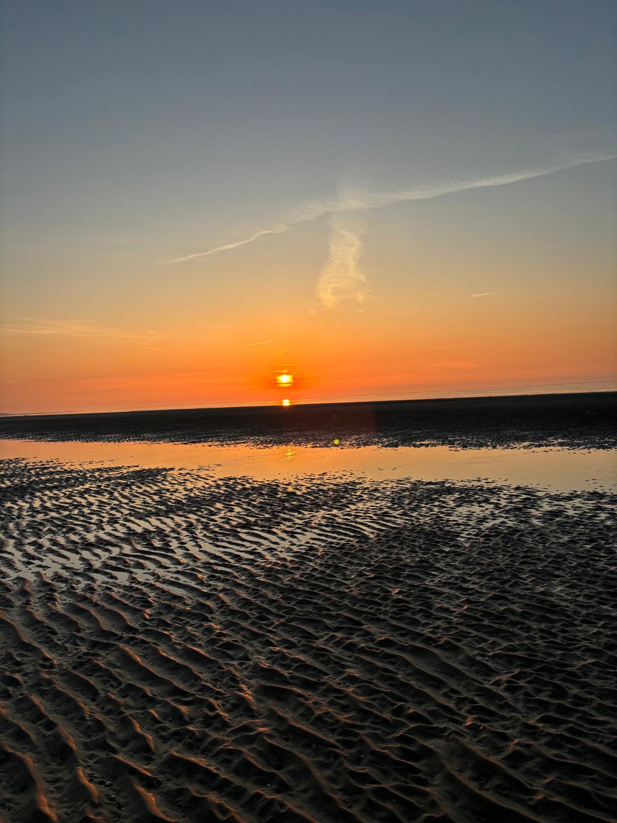 6b7ee01c-3a4f-42fc-9e13-7c6461a18f31